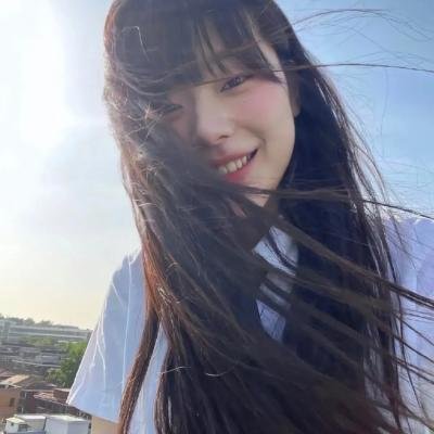 科搜研之女第24季