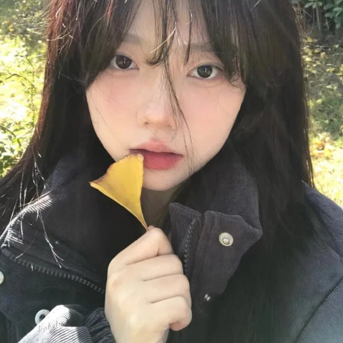 机械陪伴